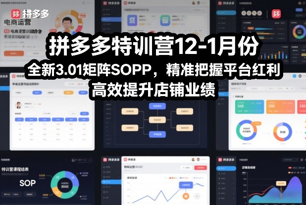 拼多多特训营12-1月份，全新3.01矩阵Sop，精准把握平台红利，高效提升店铺业绩-愛營銷俱樂部