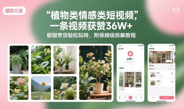 植物类情感类短视频，一条视频获赞36W+，橱窗带货轻松玩转，附保姆级拆解教程-愛營銷俱樂部