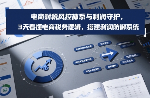 电商财税风控体系与利润守护，3天看懂电商税务逻辑，搭建利润防御系统-愛營銷俱樂部