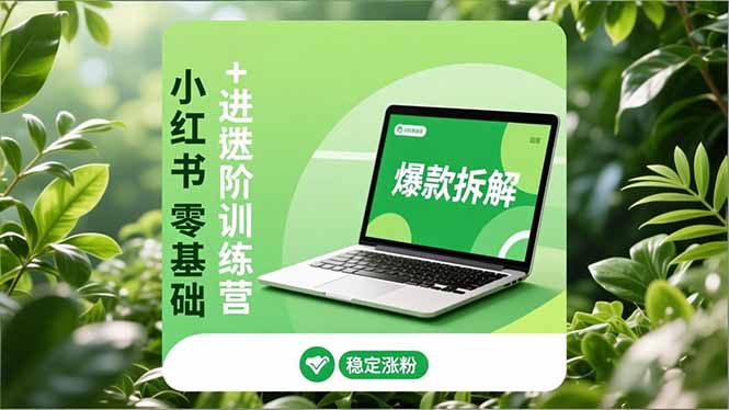 小红书零基础+高阶训练营：安全养号、爆款拆解、长效运营，实现稳定涨粉与变现-愛營銷俱樂部