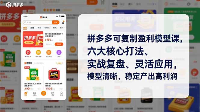 拼多多可复制盈利模型课，六大核心打法、实战复盘、灵活应用，模型清晰，稳定产出高利润-愛營銷俱樂部