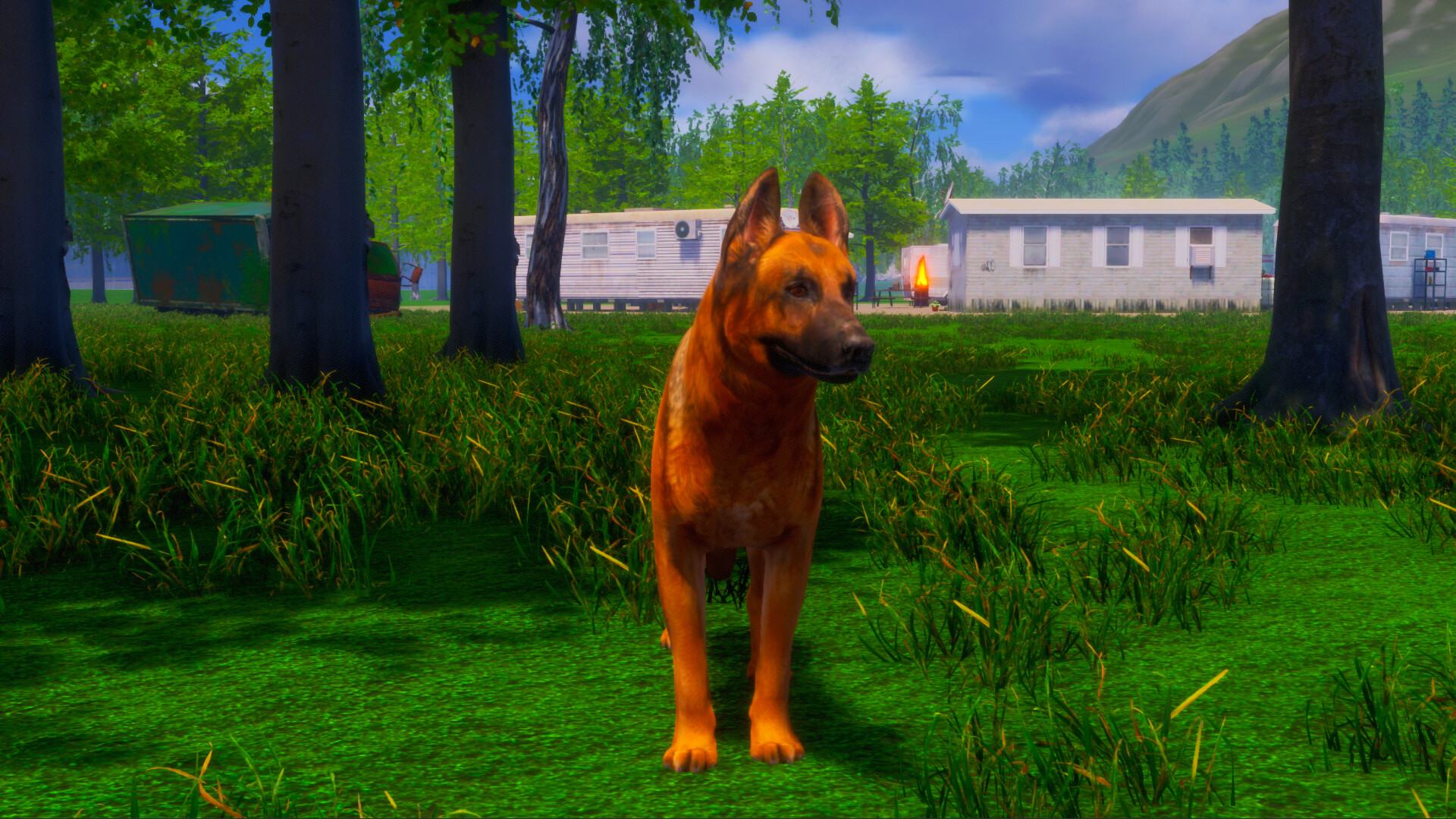 迷途狗爪/Lost Paws-愛營銷俱樂部