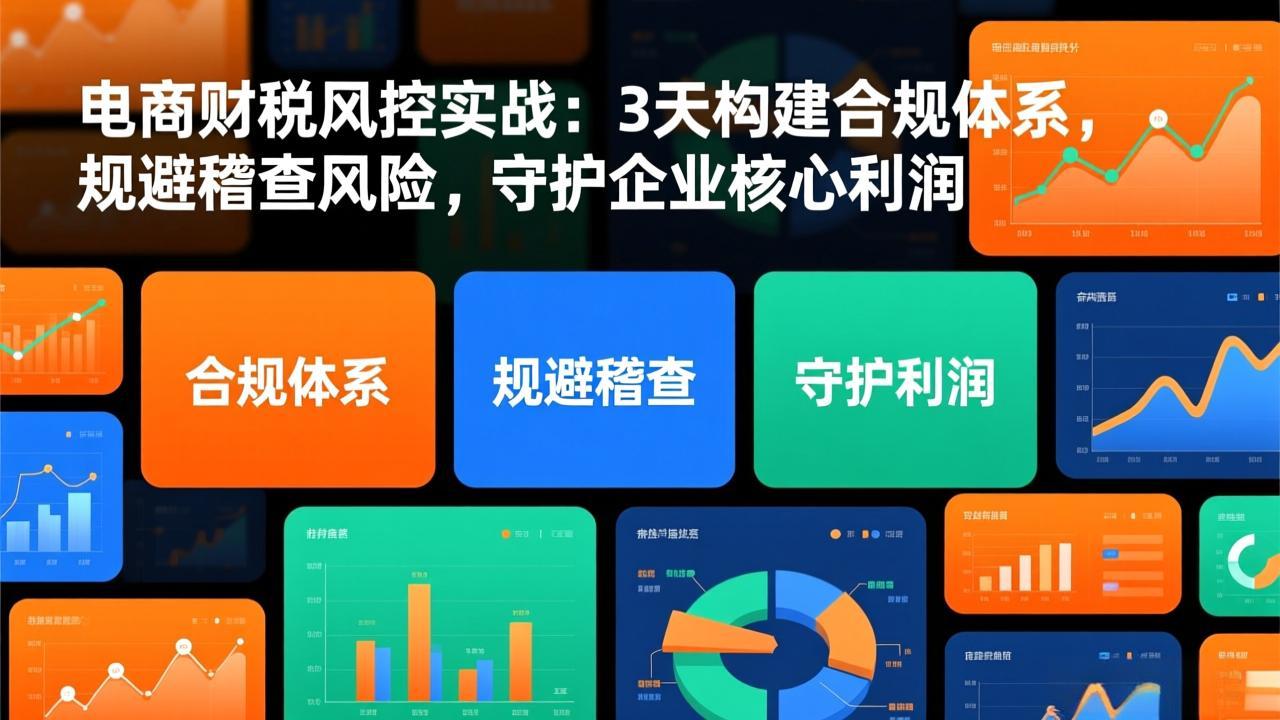 电商财税风控实战：3天构建合规体系，规避稽查风险，守护企业核心利润-愛營銷俱樂部