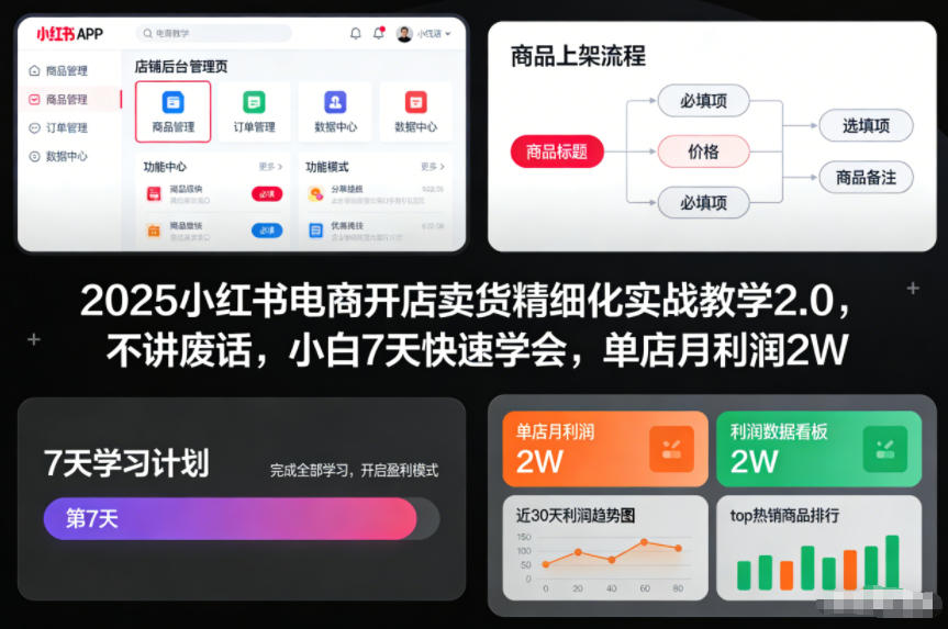 2025小红书电商开店卖货精细化实战教学2.0，不讲废话，小白7天快速学会，单店月利润2W-愛營銷俱樂部
