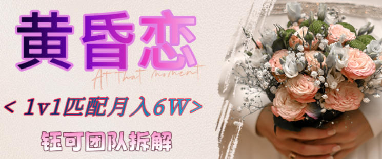 副业拆解：黄昏恋1对1匹配月入6个，潜力巨大-愛營銷俱樂部